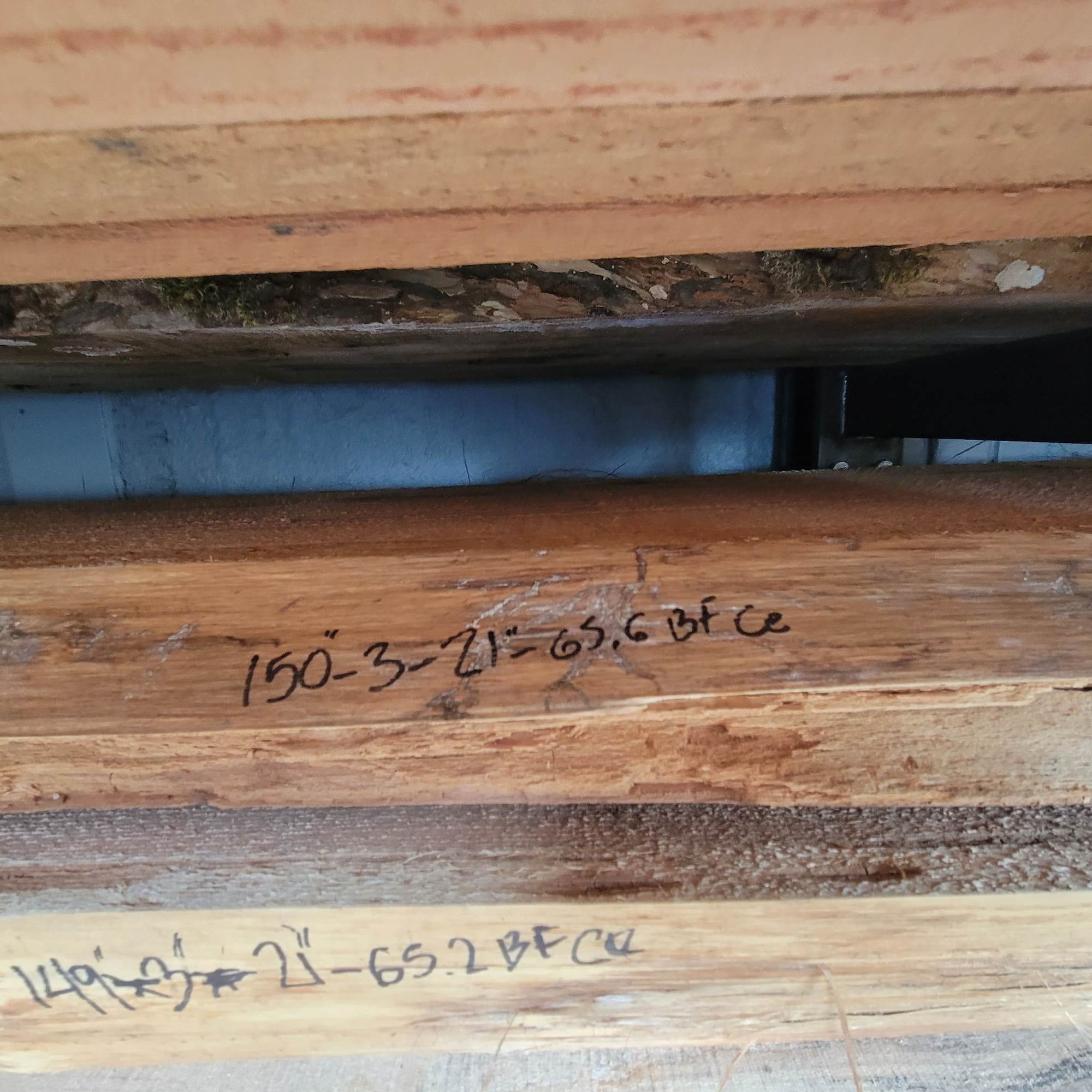 Western Red Cedar